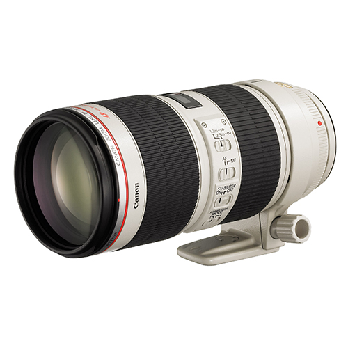 佳能EF70-200 f2.8L二代 小白兔