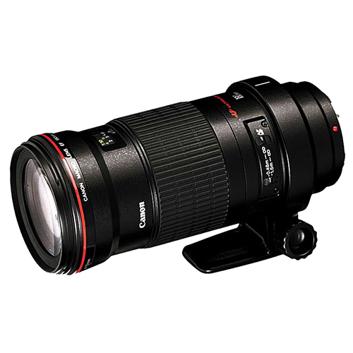 佳能EF180mm f3.5L 微距