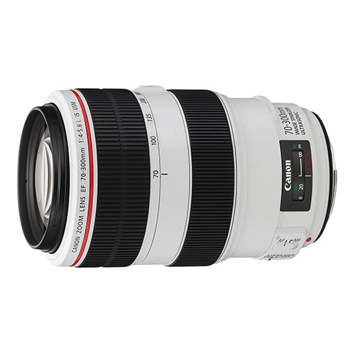 佳能EF70-300mm f4-5.6L IS USM